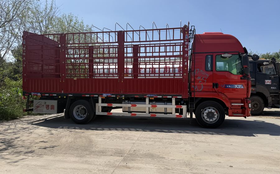 Cargo Truck Matched for Regional Distribution