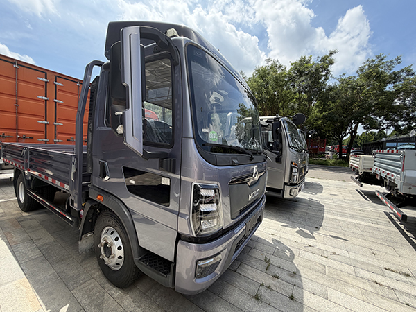 Used HOWO Light Truck