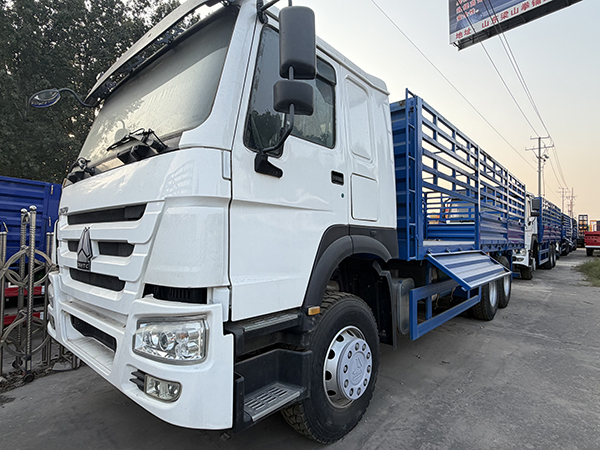 Used HOWO 10-wheel Stake Truck — Reliable Cargo Truck Detail